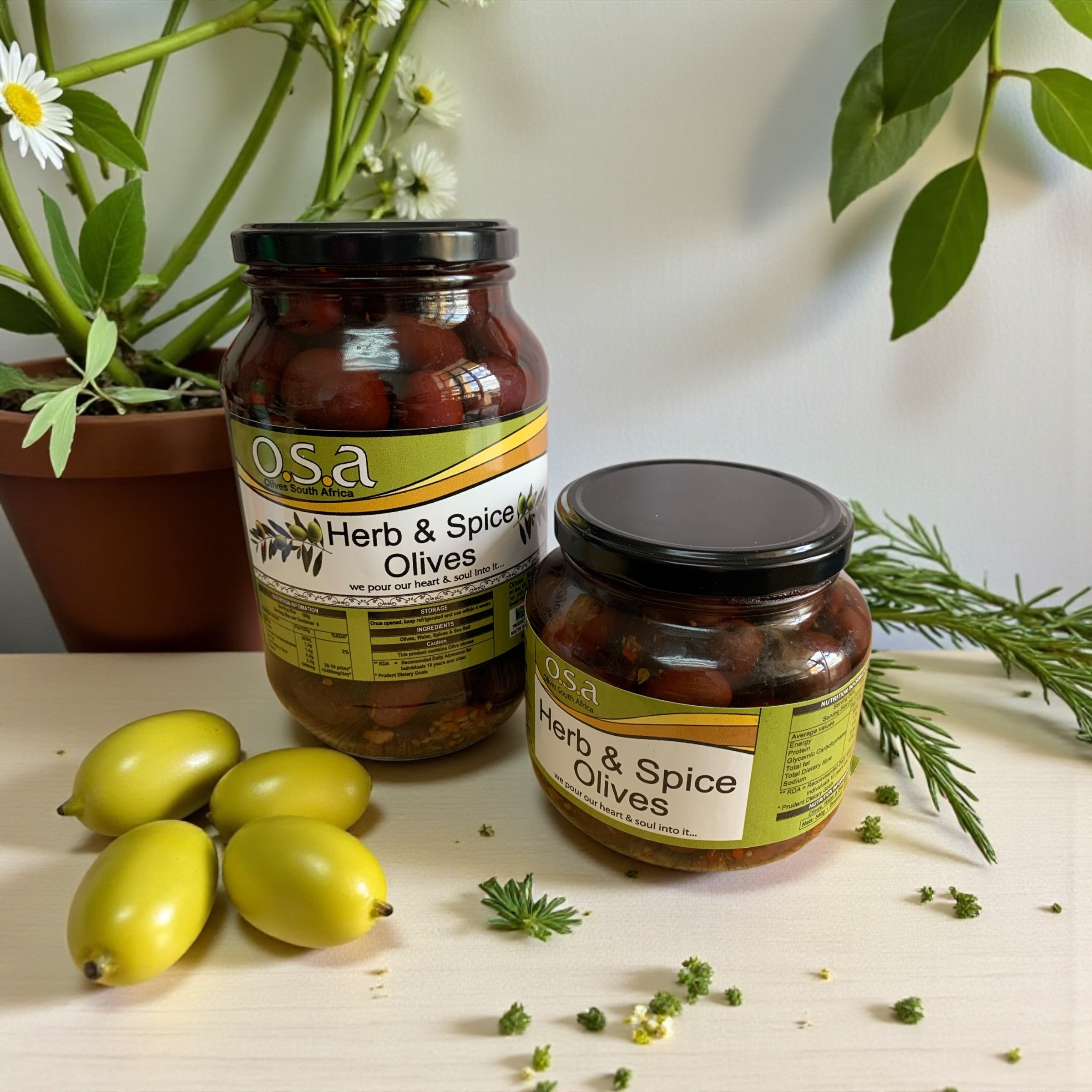 Herb's & Spice Kalamata Olives